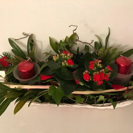 Elf Колин