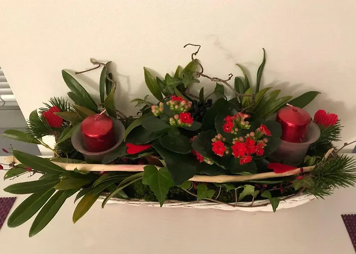 Elf Kolín